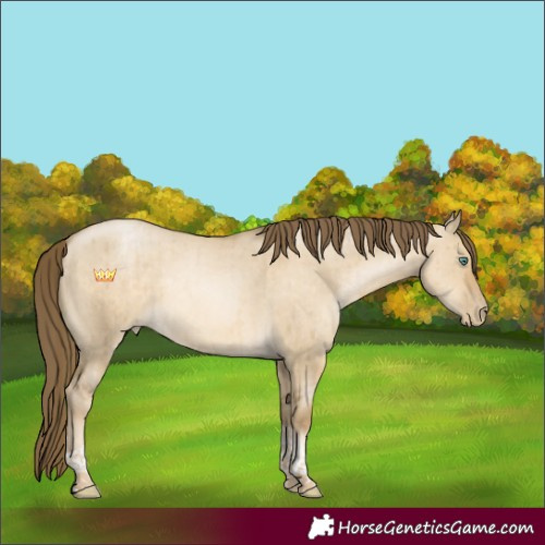Horse Color:Smoky Grullo Pearl Tobiano Rabicano Brindle