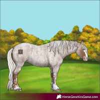 Horse Color:Silver Blue Roan Splash Tobiano  and Silver Blue Roan Splash Tobiano 