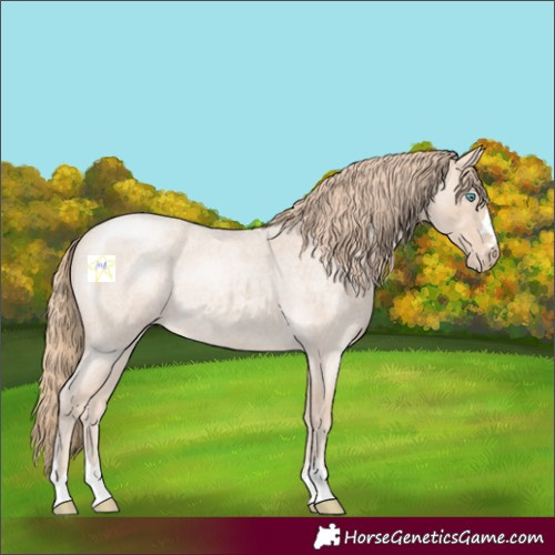 Horse Color:Perlino Roan 