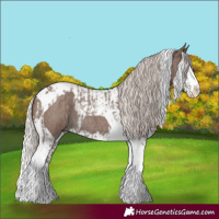 Horse Color:Silver Blue Roan Splash Tobiano  and Silver Blue Roan Splash Tobiano 