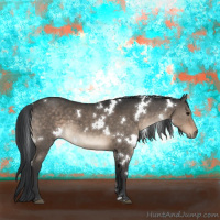 Horse Color:White Spotted Brown Dun