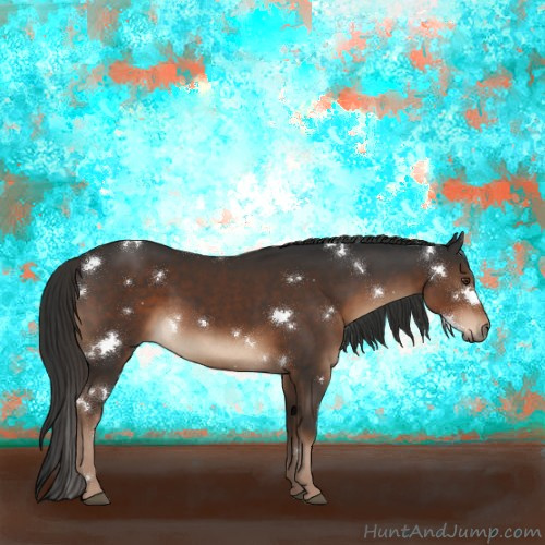 Horse Color:White Spotted Liver Chestnut 