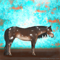 Horse Color:White Spotted Liver Chestnut 