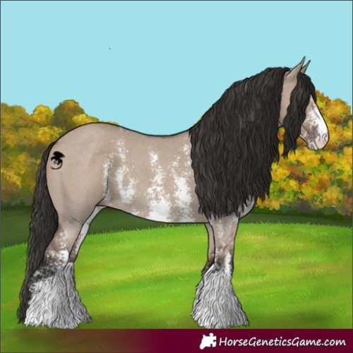 Horse Color:Liver Red Dun Sabino 