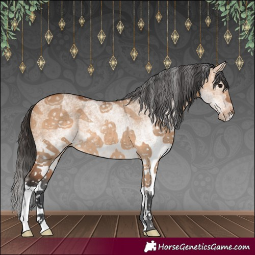 Horse Color:White Spotted Bay Dun Rabicano 