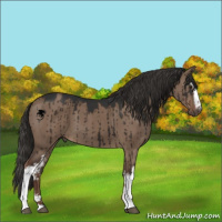 Horse Color:White Spotted Liver Red Dun Sabino Brindle 