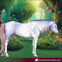 Horse Color:Gray Watercolor Chestnut Tobiano 