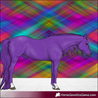 Horse Color:Watercolor Black