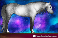 Horse Color:Gray Black 