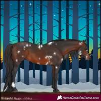 Horse Color:White Spotted Brown 