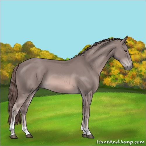 Horse Color:Platinum Chestnut Tobiano 