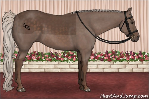 Horse Color:Silver Black
