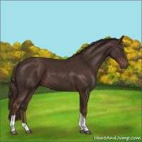 Horse Color:Liver Chestnut Tobiano 