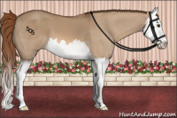 Horse Color:Red Dun Splash 