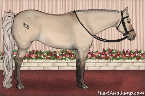 Horse Color:Silver Bay Dun