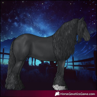 Horse Color:Black 