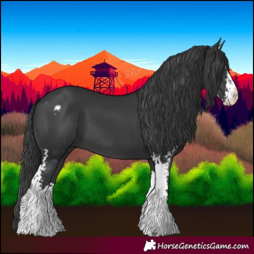 Horse Color:Black Sabino 