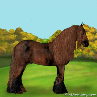 Horse Color:Void White Spotted Red Roan 