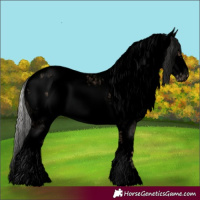 Horse Color:Void White Spotted Silver Amber Champagne Roan Splash Frame Appaloosa 