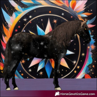 Horse Color:Void White Spotted Amber Champagne Splash 