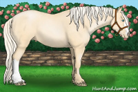 Horse Color:Palomino Pearl 