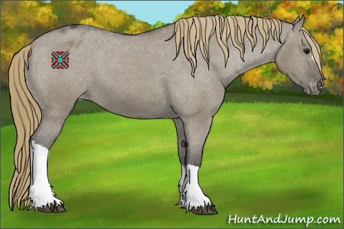 Horse Color:Smoky Grullo Varnish