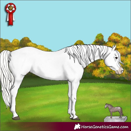 Horse Color:Silver Blue Roan Splash Tobiano Varnish  and Silver Classic Champagne Roan Splash Tobiano Varnish 