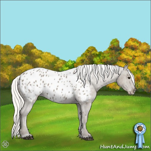 Horse Color:Silver Smoky Black Appaloosa 