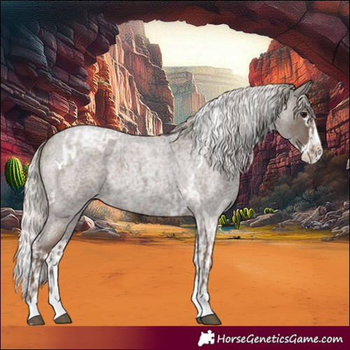 Horse Color:Silver Blue Roan Splash Tobiano and Silver Blue Roan Splash Tobiano