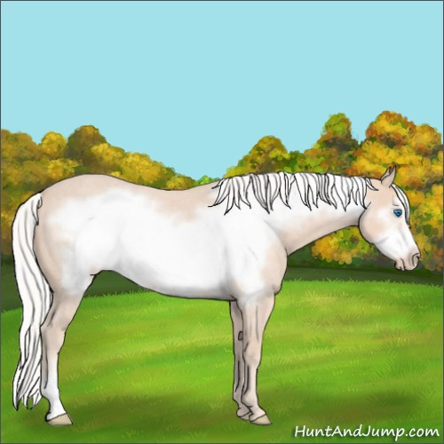 Horse Color:Silver Smoky Creme Roan Frame 