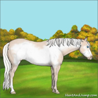 Horse Color:Silver Smoky Creme Roan Frame 