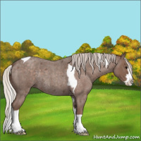 Horse Color:Silver Blue Roan Splash Tobiano  and Silver Blue Roan Splash Tobiano 