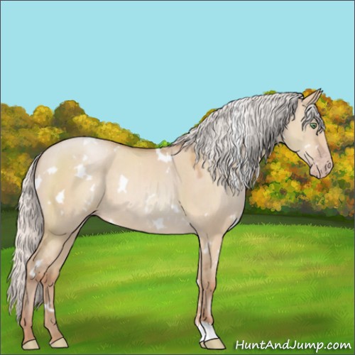 Horse Color:White Spotted Silver Classic Champagne Dun 