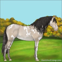 Horse Color:White Spotted Classic Champagne Dun