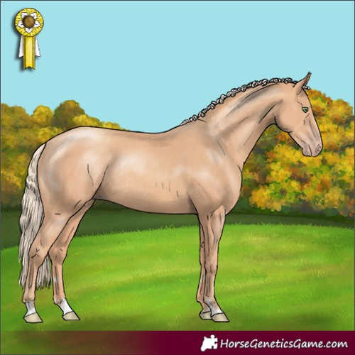 Horse Color:Gold Champagne Rabicano