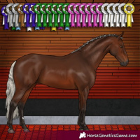 Horse Color:Gray Silver Bay Rabicano