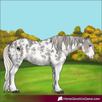 Horse Color:Silver Smoky Black Sabino 