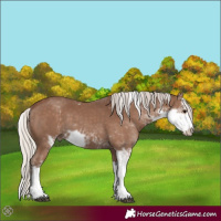 Horse Color:Silver Black Sabino