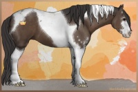 Horse Color:Smoky Black Sabino Tobiano 