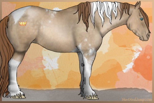 Horse Color:Smoky Black Pearl Tobiano Rabicano