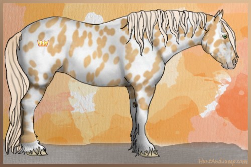 Horse Color:Gold Cream Champagne Tobiano Appaloosa