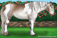 Horse Color:Gray Silver Black Pearl Tobiano 