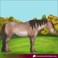 Horse Color:Sable Champagne