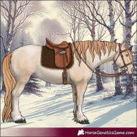 Horse Color:Smoky Black Pearl