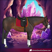 Horse Color:Brown Sabino Rabicano