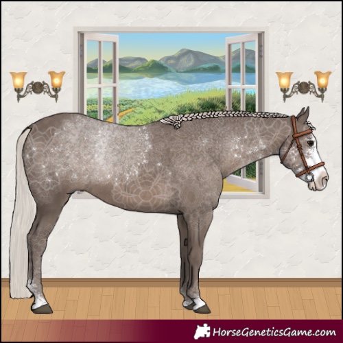 Horse Color:Silver Black Sabino Rabicano 