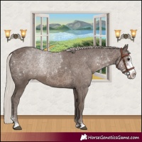 Horse Color:Silver Black Sabino Rabicano 