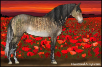 Horse Color:Silver Buckskin Dun Sabino Rabicano Brindle  and Gray Brown Roan Dun Mushroom Sabino Rabicano Brindle 