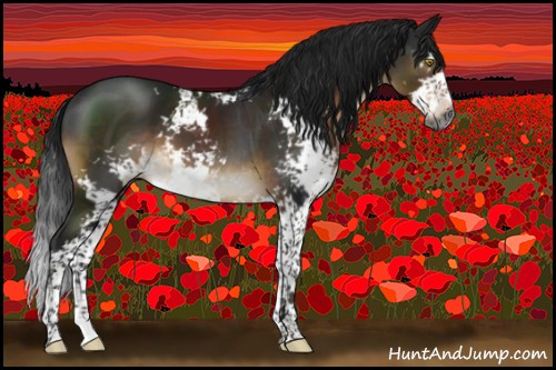 Horse Color:Gray Brown Mushroom Sabino 