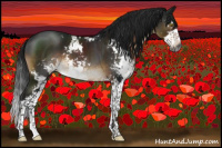 Horse Color:Gray Brown Mushroom Sabino 